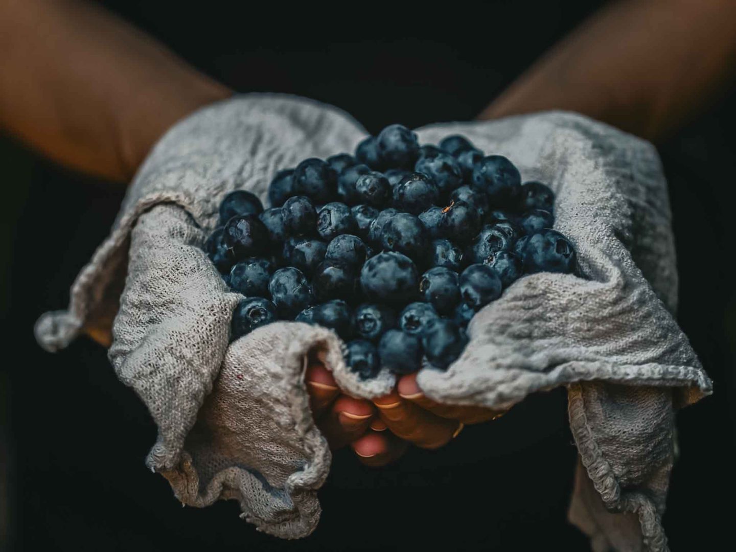 superfood-snacks-berries