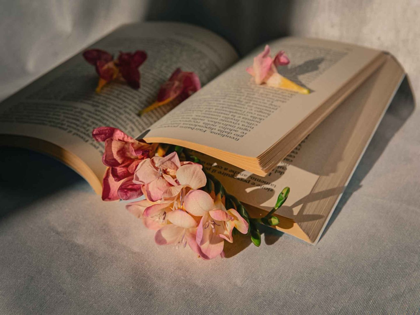 journey-to-wellness-books-self-care-flowers