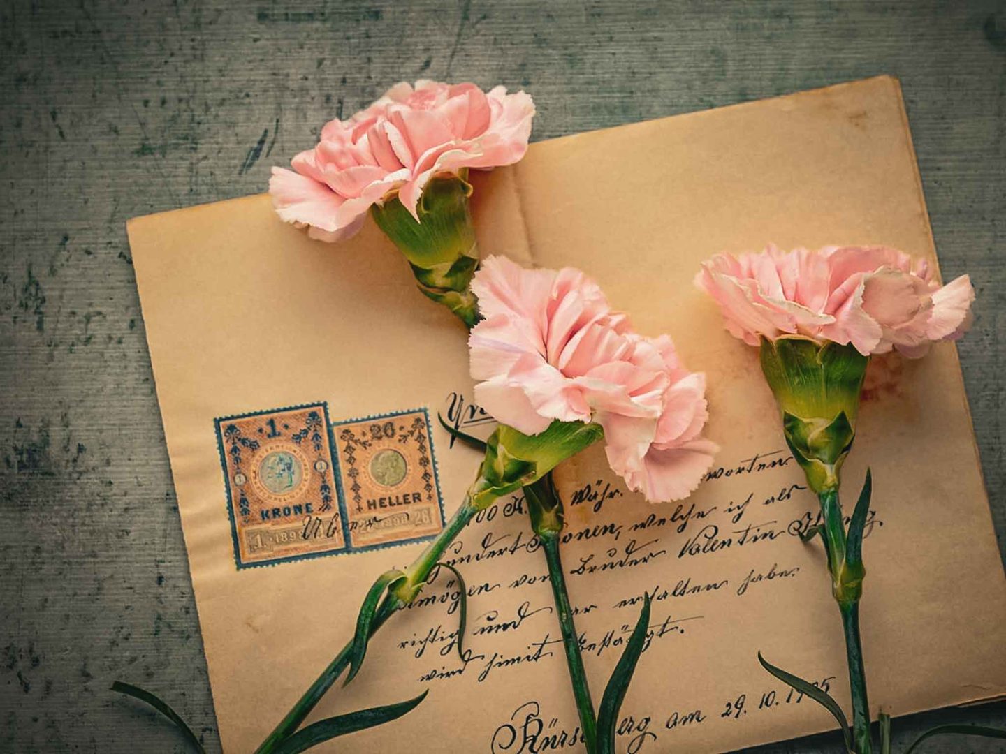 embracing-vulnerability-newsletter