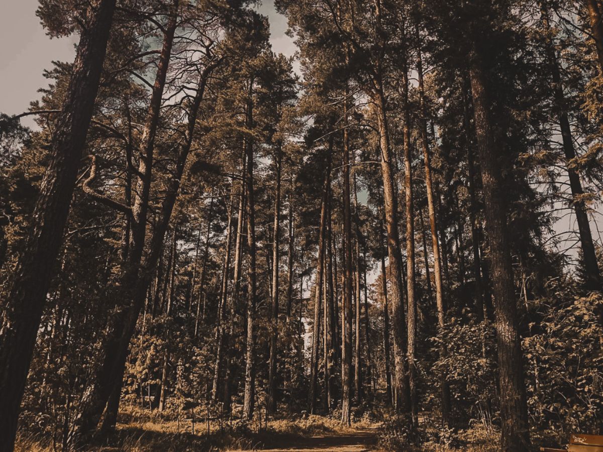 on-finding-your-community